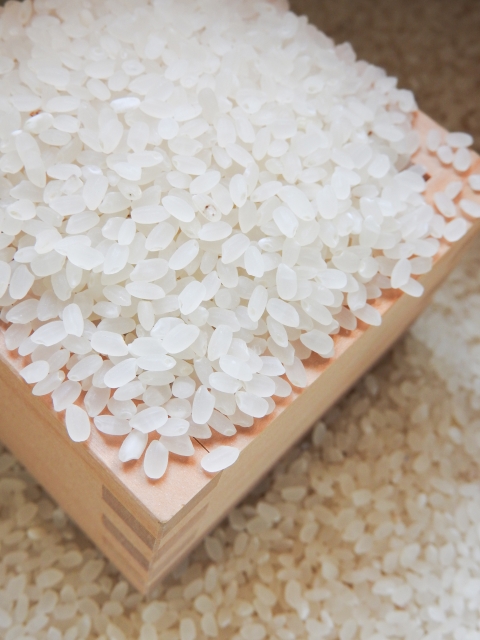 業務用米の保管は業務用米びつがおすすめ